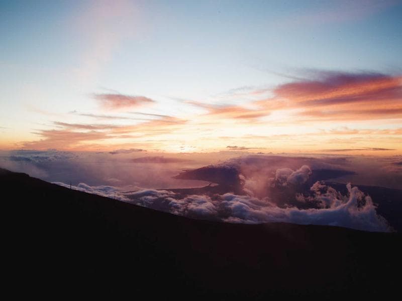 Xử lý ra hoa nghịch vụ cho mít thái siêu sớm