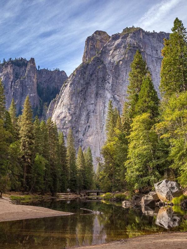 Bưởi Da Xanh Bến Tre