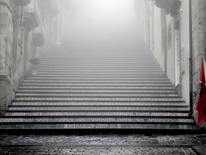 Bí quyết bón phân cho bưởi da xanh mọng nước